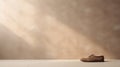 Minimalist Terracotta Shoe On Beige Wooden Floor