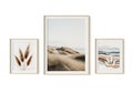 Minimalist nature triptych isolated on white background Royalty Free Stock Photo