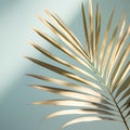 Minimalist tropical leaf against a white wall, illuminated by great light and shadow