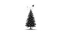 Is minimalist using a stark black and white contrast to emphasize the tree Royalty Free Stock Photo