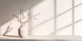 Minimalist vase with delicate branches in sunlight Royalty Free Stock Photo