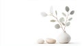 Minimalist vase with eucalyptus leaves and smooth stones on white background Royalty Free Stock Photo