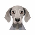 Minimalist Vector Art Of A Cute Weimaraner Dog With Expressive Eyes