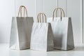 Minimalist, versatile composition three white paper bags of varying sizes and orientations