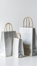 Minimalist, versatile composition three white paper bags of varying sizes and orientations