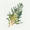 Minimalist Watercolor Handpainted Illustration of Small Cute Kelp Leaf for Baby Book AI Generated