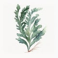 Minimalist Watercolor Handpainted Illustration of Small Cute Kelp Leaf for Baby Book AI Generated