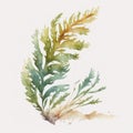 Minimalist Watercolor Handpainted Illustration of Small Cute Kelp Leaf for Baby Book AI Generated