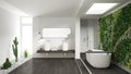 Minimalist white bathroom with vertical and succulent garden, wooden floor and pebbles, hotel, spa, modern interior design Royalty Free Stock Photo