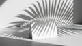 Minimalist white card with dramatic palm leaf shadow on white background Royalty Free Stock Photo