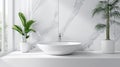 Minimalist White Ceramic Sink