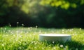 Minimalist white circular object resting on lush green grass surrounded by delicate wildflowers and soft sunlight Royalty Free Stock Photo