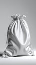 Elegant White Drawstring Bag Royalty Free Stock Photo