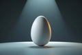 Minimalist white egg under dramatic spotlight on a dark background Royalty Free Stock Photo