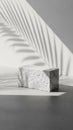 Minimalist White Marble Block with Shadow Play and Shadowed Palm Leaves Royalty Free Stock Photo