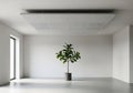Minimalist White Office Interior with Plant - Modern Architecture Royalty Free Stock Photo