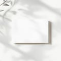 Minimalist white rectangular card with soft shadows in a bright, airy setting Royalty Free Stock Photo