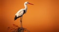 Minimalist White Stork Perched On Brown Stem - Hd Photograph