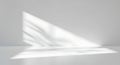 Minimalist White Studio with Leaf Shadows Royalty Free Stock Photo