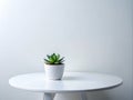 Minimalist White Table with Succulent A Study in Clean Lines and Modern Design Royalty Free Stock Photo