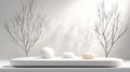 A minimalist white table with three spheres and two trees. Royalty Free Stock Photo