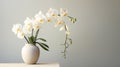 Minimalist White Vase With Orchids: Ancient Chinese Art Influence Royalty Free Stock Photo