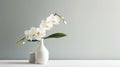 Minimalist White Vase With White Orchids - Modern And Elegant Home Decor