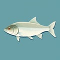 Minimalist Whitefish Illustration On Beige Background