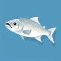 Minimalist Whitefish Illustration On Blue Background