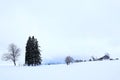 Minimalist winter landscape with snow, trees and a farm in Bavaria Royalty Free Stock Photo