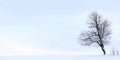 Minimalist winter landscape with a tree on a snow-covered field Royalty Free Stock Photo