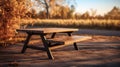 Minimalist Wooden Picnic Table In Dark Bronze And Light Amber - Industrial Design