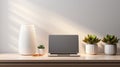 A minimalist workspace, white desk with a potted succulents and laptop computer