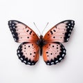 Minimalistic Artwork: Small Copper Butterfly With Pale Pink And Black Wings