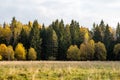 Minimalistic autumn landscape with a view of the field Royalty Free Stock Photo