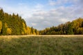 Minimalistic autumn landscape with a view of the field Royalty Free Stock Photo