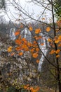 Minimalistic autumn landscape. Waterfalls, rivers and lakes in the Cascades of Croatia, Plitvice Lakes National Park Royalty Free Stock Photo