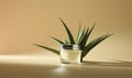 Minimalistic beauty banner cream in glass little cosmetic jar and aloe leaves on beige background