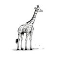 Minimalistic Black And White Giraffe Cartoon Doodle