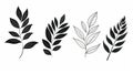 Minimalistic Black And White Leaves: Hand Drawn Vector Art Royalty Free Stock Photo