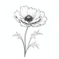 Minimalistic Black And White Poppy Flower Vector Illustration Royalty Free Stock Photo