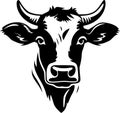 Cow - black and white vector illustration