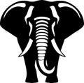 Elephant - black and white vector illustration