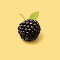 Minimalistic Blackberry Drupe On Yellow Background