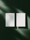 Minimalistic Blank Cards Casting Shadows on a Dark Green Surface, Emphasizing Texture and Light Play in a Contemporary Setting Royalty Free Stock Photo