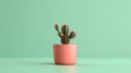 Minimalistic Cactus With Natural Ornament - 3d Render