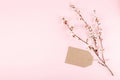 Minimalistic card mockup with empty recycled ÃâÃÂraft cardboard, blossom cherry flower branch on pink background. Flat lay, top