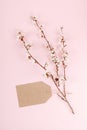 Minimalistic card mockup with empty recycled ÃâÃÂraft cardboard, blossom cherry flower branch on pink background. Flat lay, top