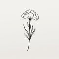 Minimalistic Carnation Flower Line Drawing Illustration