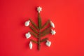 Minimalistic Christmas tree made of evergreen fir plant on red background. Christmas, new year concept. Flat lay Royalty Free Stock Photo